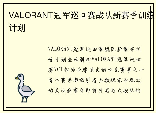 VALORANT冠军巡回赛战队新赛季训练计划